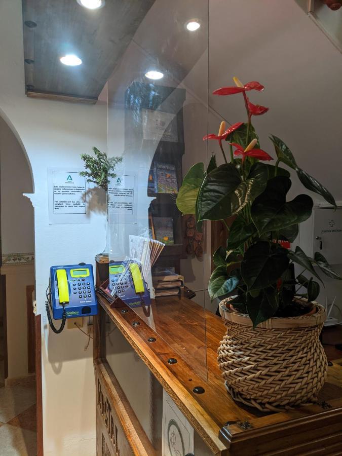 Hostal Moraima 卡皮雷拉 外观 照片