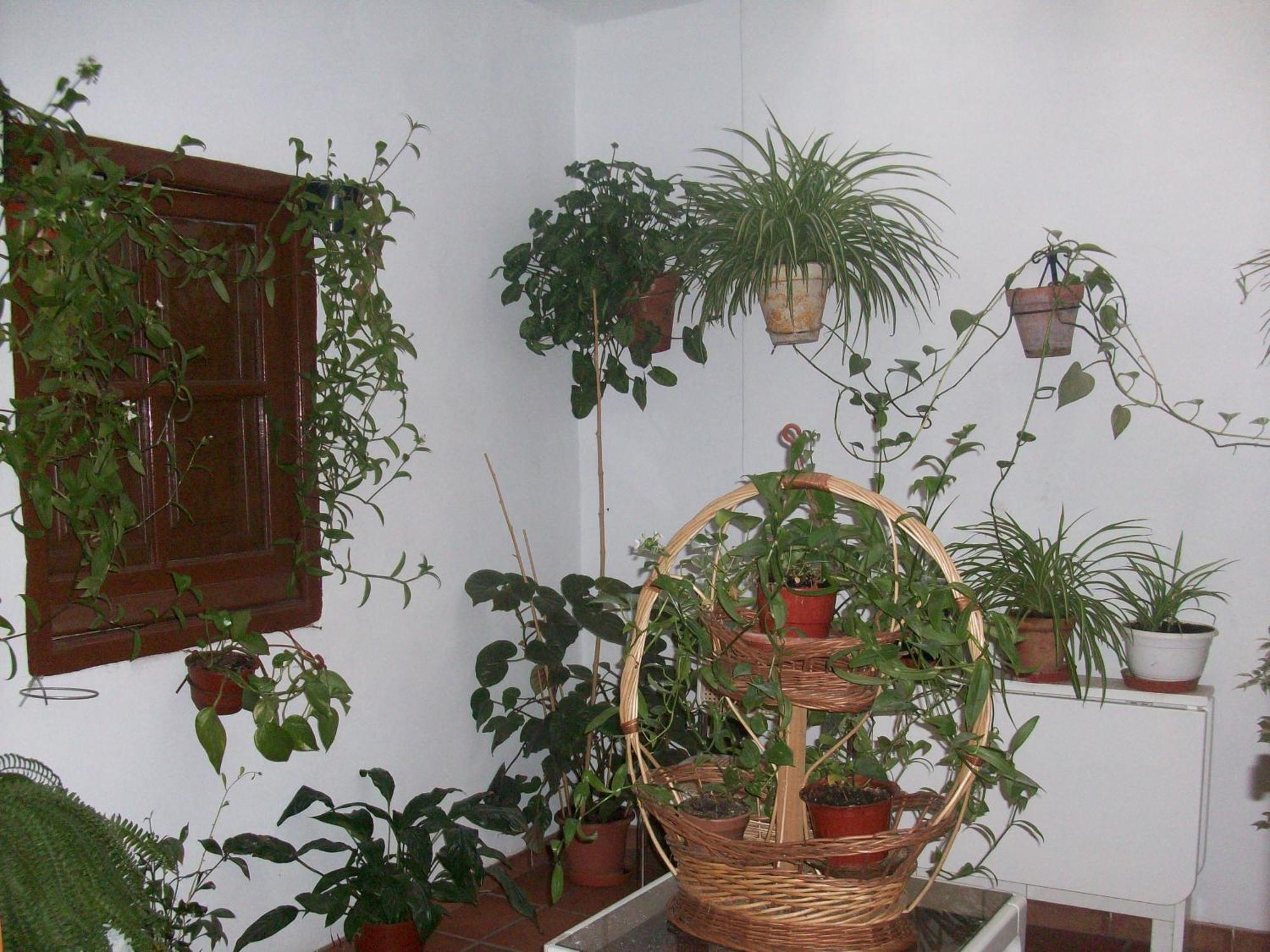 Hostal Moraima 卡皮雷拉 外观 照片